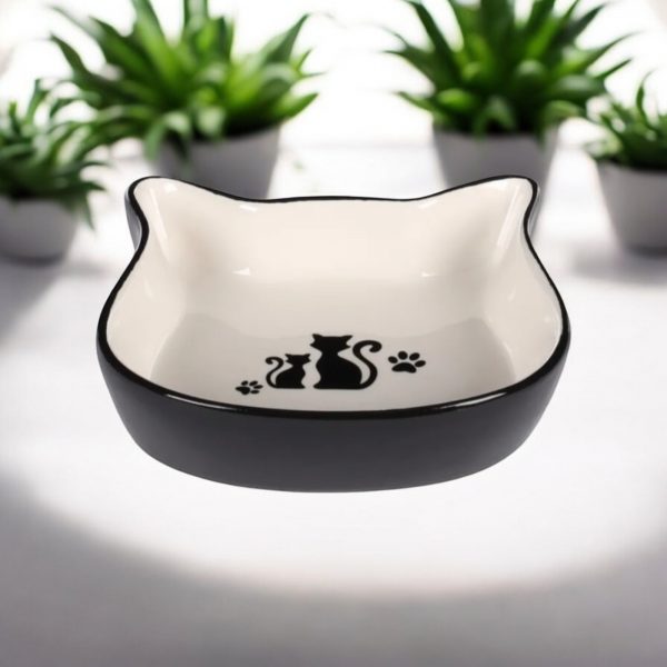���� �� ������� � ���� �� ����� Nona 250 ��
