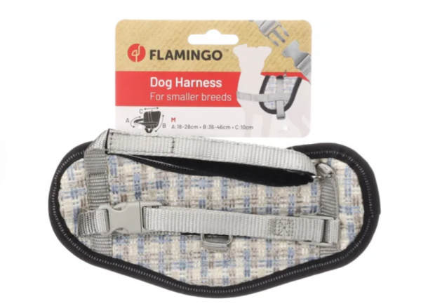��������� Eeny Meeny blue/grey M Flam