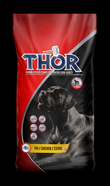 THOR ADULT ���� - ���� ����� �� ���� 18/7 10 ��