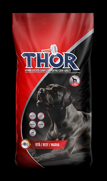 THOR ADULT ������� - ���� ����� �� ���� 18/7 10 ��