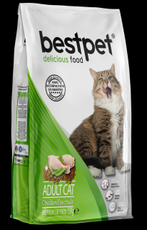 Bestpet cat chiken adult
