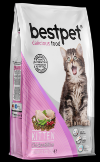 Bestpet cat kitten 1��/400��