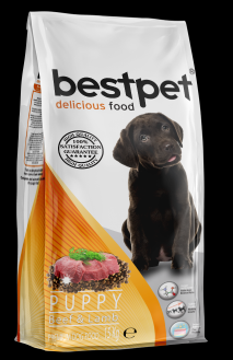 Bestpet dog PUPPY Lamb 2.5��/15��