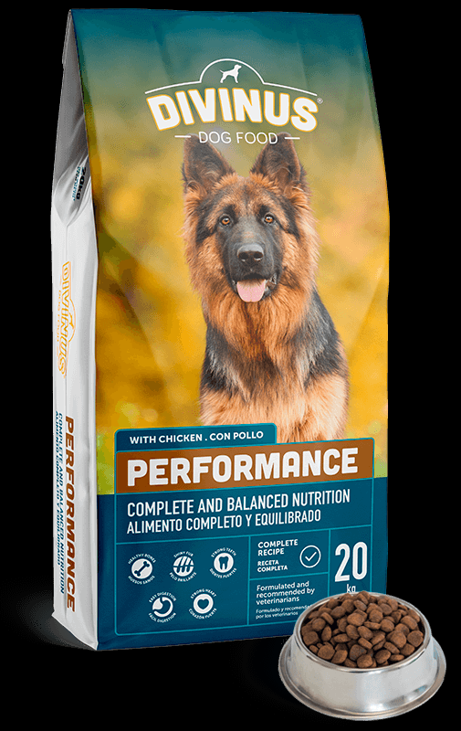 DIVINUS PERFORMANCE 20 ��