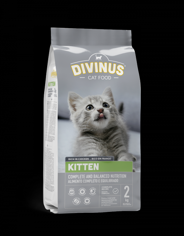DIVINUS KITTEN 2 ��