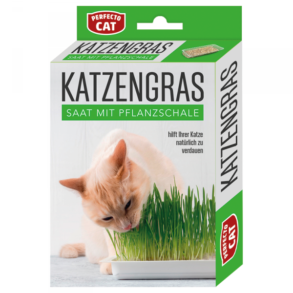 Perfecto Cat ������� ����� 100 �
