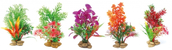 .   Deco Flora 20 