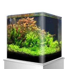  AMTRA NANOTANK 20 (25/25/30) Croci