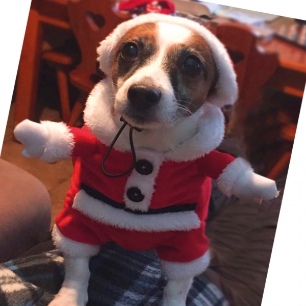  Xmas Santa 30  +  3