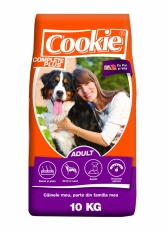 COOKIE //