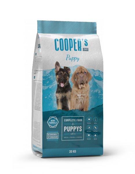 COOPER'S PUPPY 20  30/11