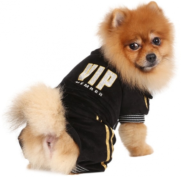  VIP XS S M L 3