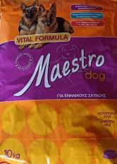 Maestro maintenance dog // 23/9