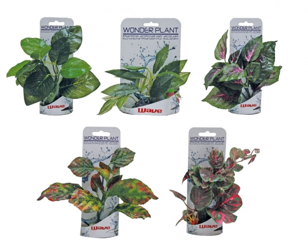 . Wnder plant 15-18 