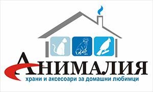 SEO одит Animalia-franchise