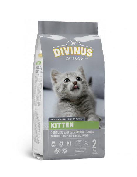 DIVINUS KITTEN 2 