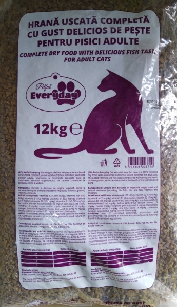 EVERYDAY CAT FISH 26/8 12 