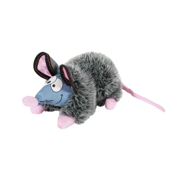   Rat 