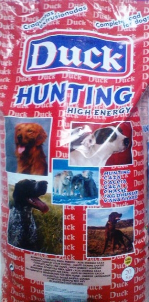Duck Hunting 20  