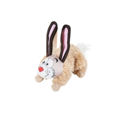   Rabit Zolux
