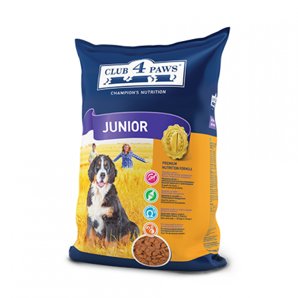 C4P Junior 12  30/15