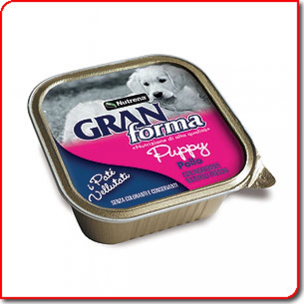 Gran Forma Dog 150 puppy - 