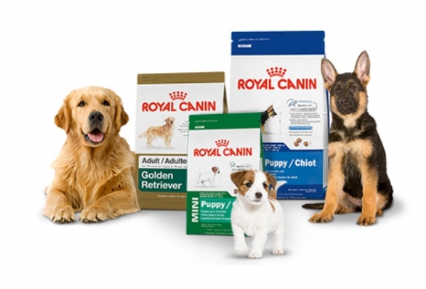 Royal Canin