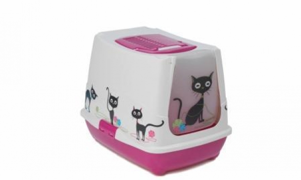   Trendy Cat Fun