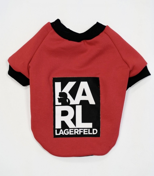   Karl // 2