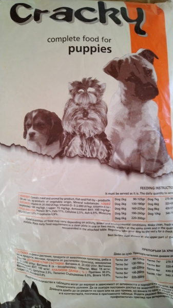 CRACKY PUPPY 20 -   