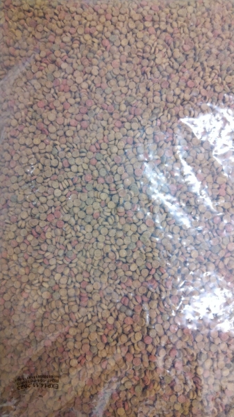 COMPLETE CAT FOOD 10  //