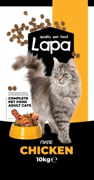 Lapa 10  -    