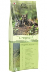 Carpathian Premium Cat 12  Pregnant