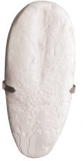 Tatrapet Сепиева кост 10-12.5 см/ насипно